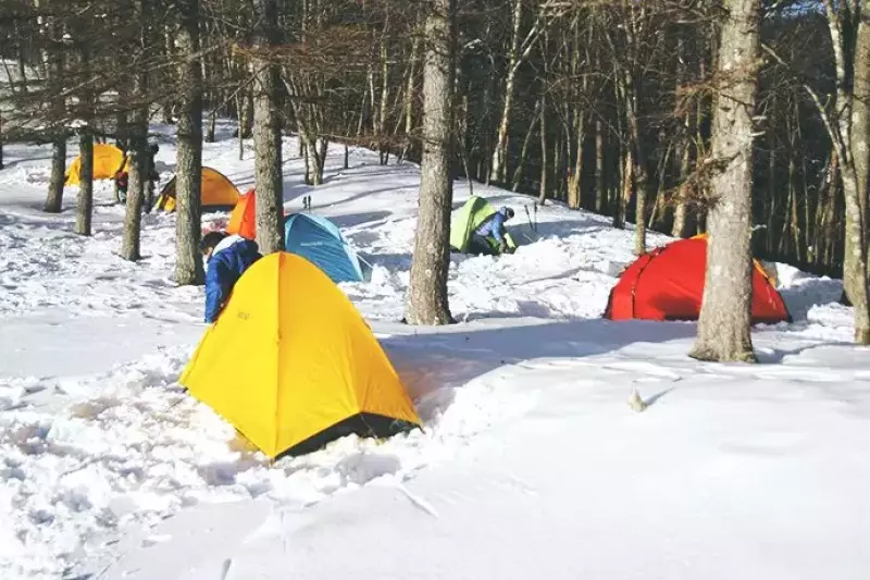 奥多摩小屋のヒルバーグソウロ