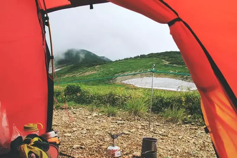 白馬大池山荘のヒルバーグソウロ