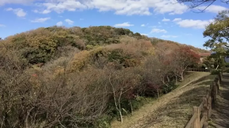 鎌倉アルプス 天園ハイキングコース