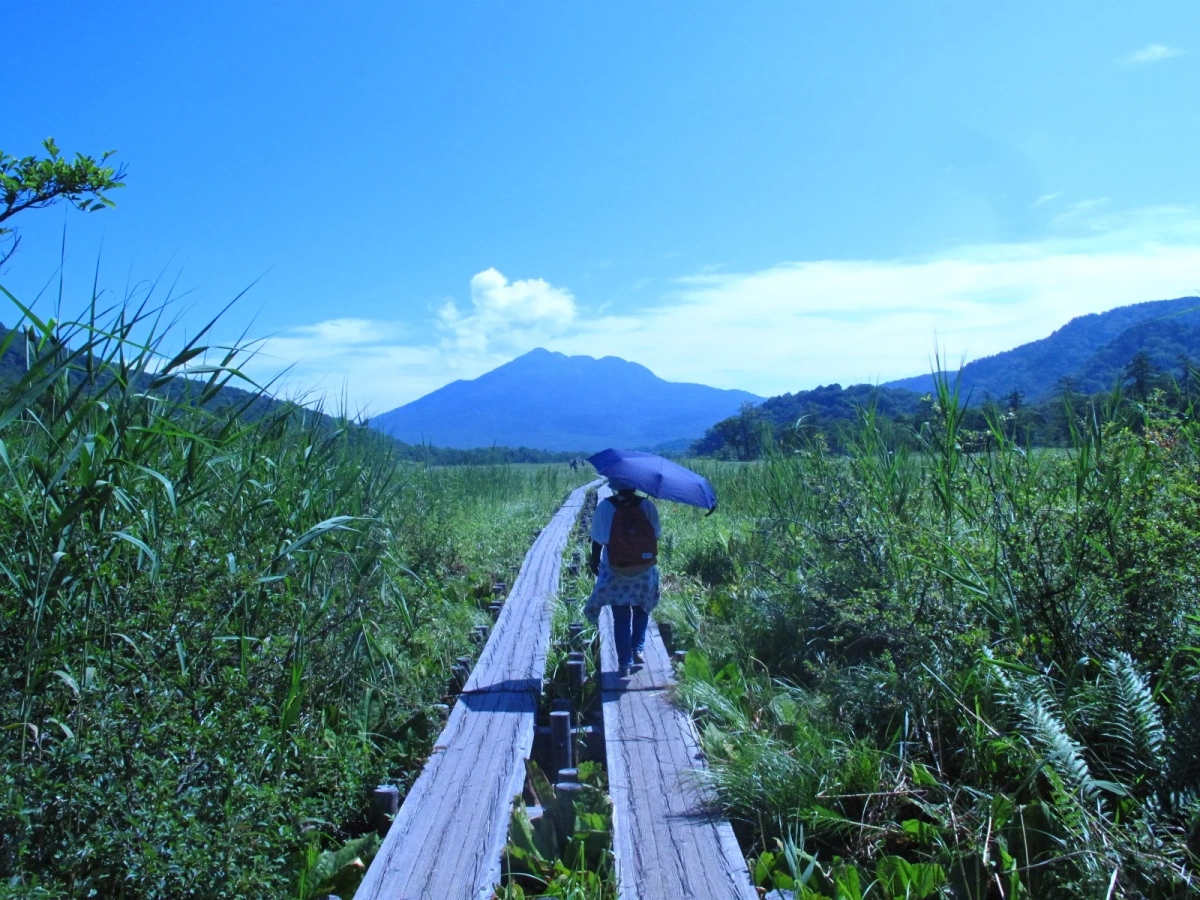 【2026年】登山に日傘?!使える場面・NGシーン・失敗しない選び方とおすすめ7選