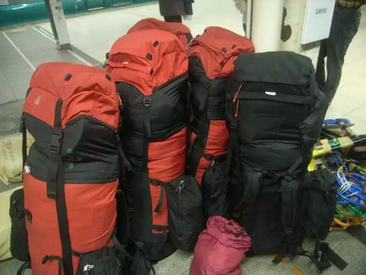 パイネ(paine)のバックパック「ガッシャブルム80」