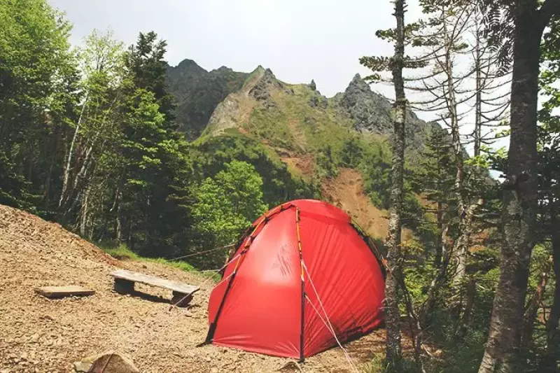 キレット小屋のヒルバーグソウロ