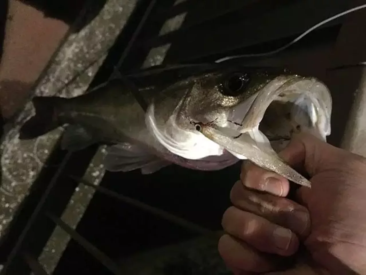 スマートウォッチ『カシオプロトレック WSD-F20』