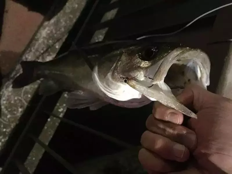 スマートウォッチ『カシオプロトレック WSD-F20』