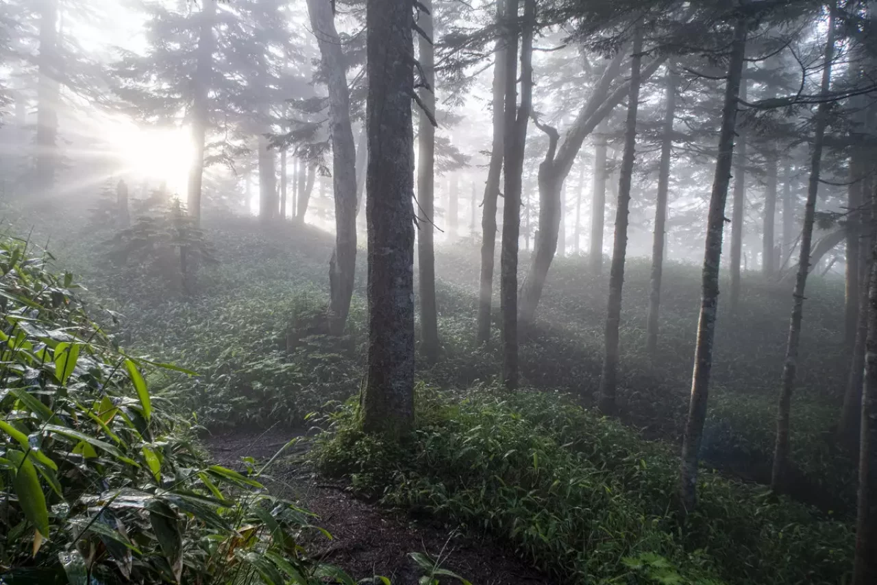 焼岳 様々なアクセスが可能な登山道