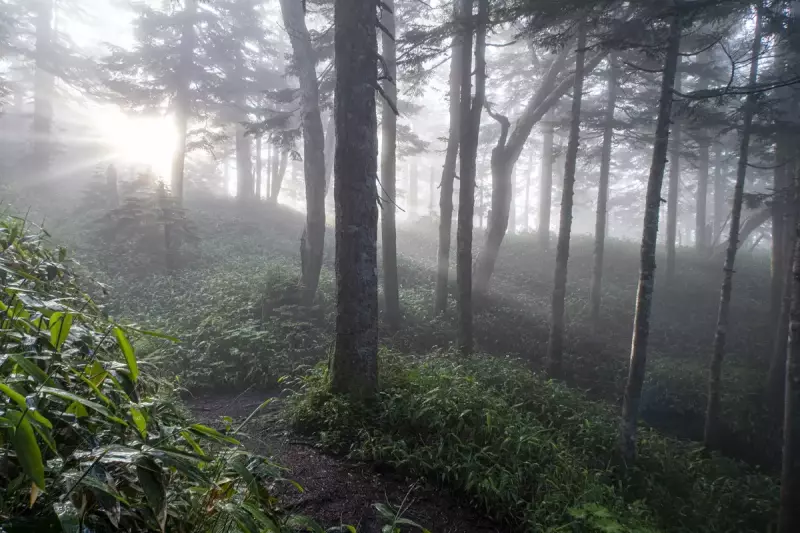 焼岳 様々なアクセスが可能な登山道