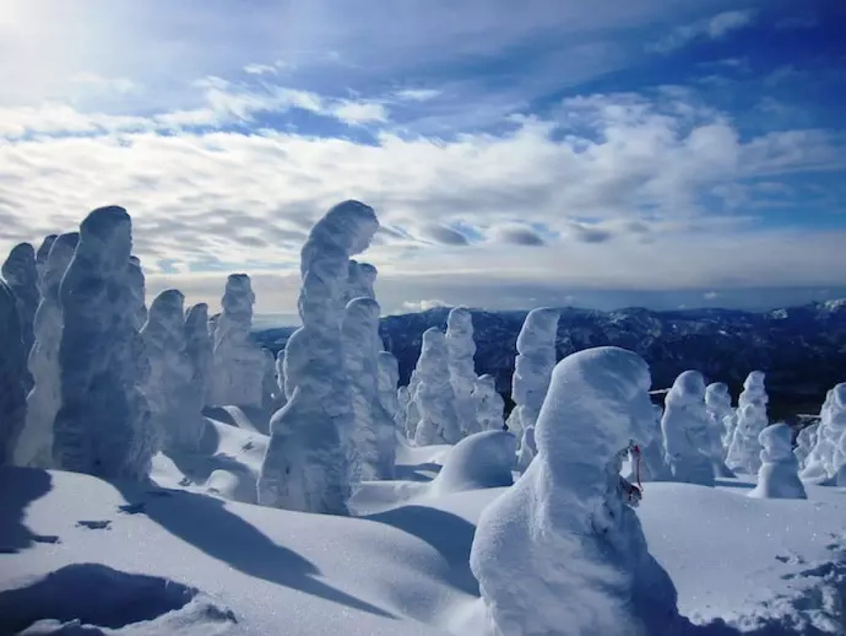 阿仁ゴンドラで行く『森吉山の樹氷鑑賞』