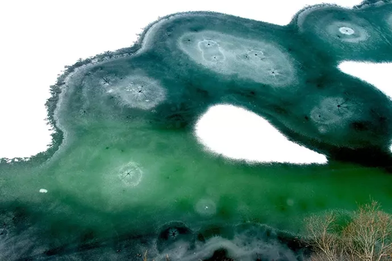 季節の一瞬に立ちあう幸せを心に刻んで 大島玲子写真展『四季のうつろい』