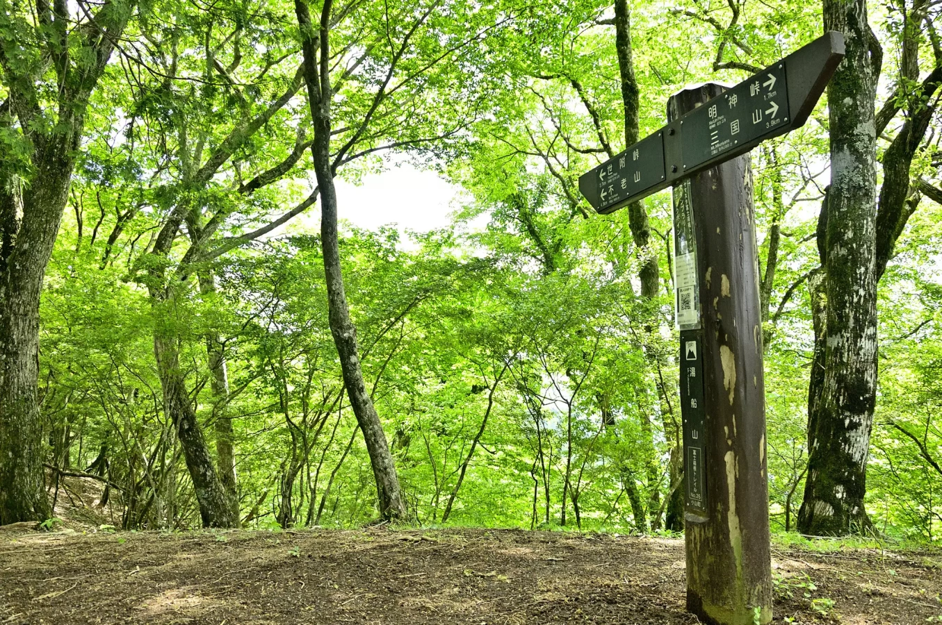 【日帰り縦走登山】富士スピードウェイからエンジン音が聞こえてくる山頂!神奈川県・静岡県県境にある湯船山の難易度別ルート紹介