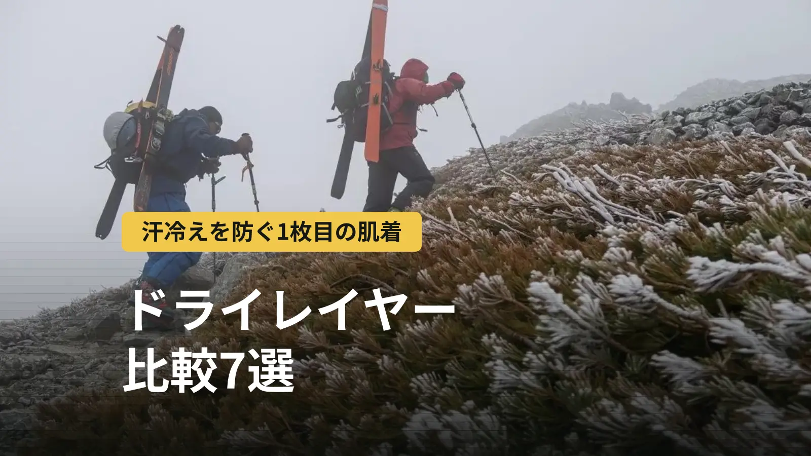 登山用ドライレイヤー比較7選|汗冷えを防ぐ仕組みとメッシュアンダーの選び方