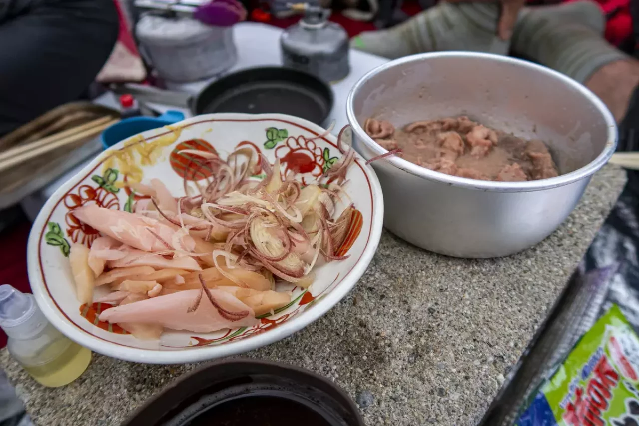 ミニトランギアの特徴