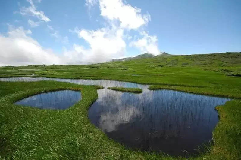 弥陀ヶ原