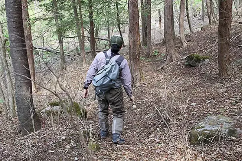 渓流へフライフィッシング