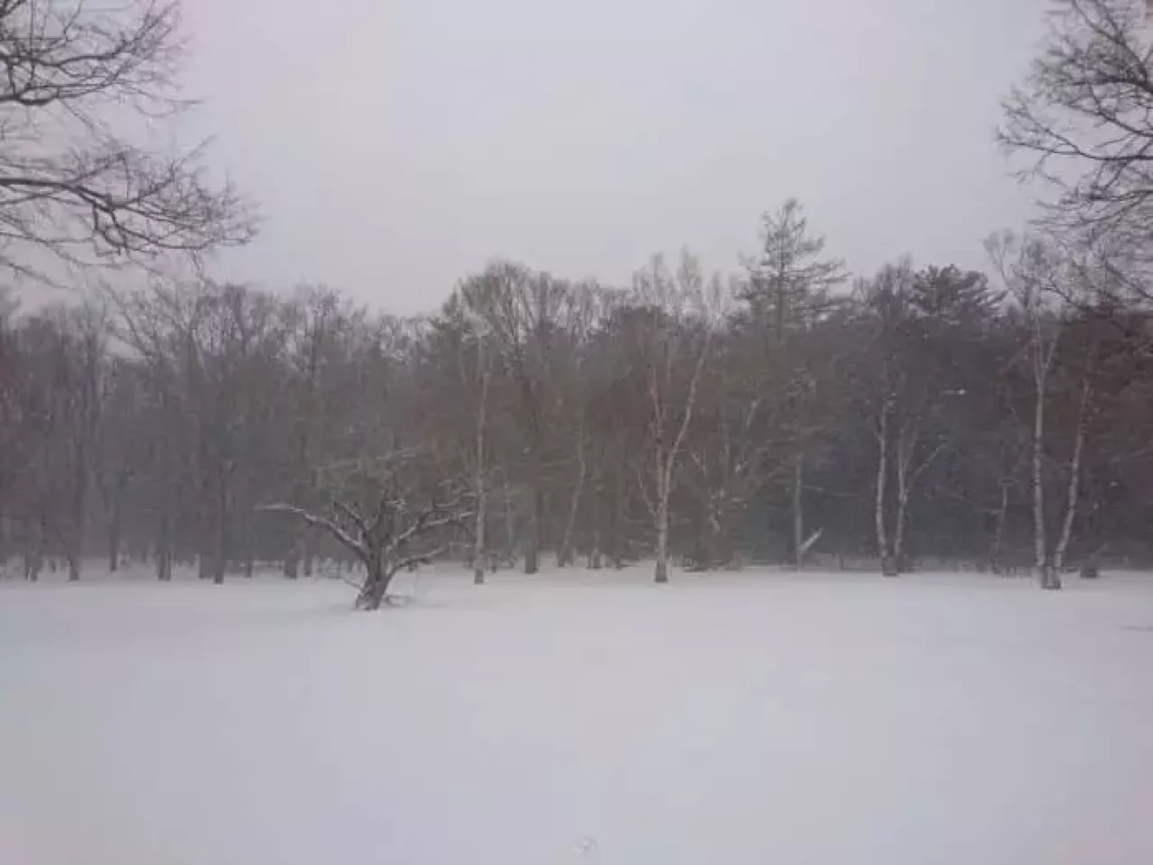 上高地 徳沢ロッヂ