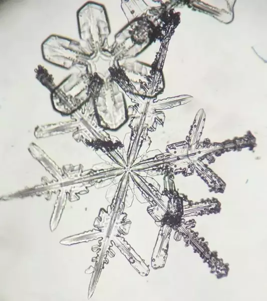 雪の結晶