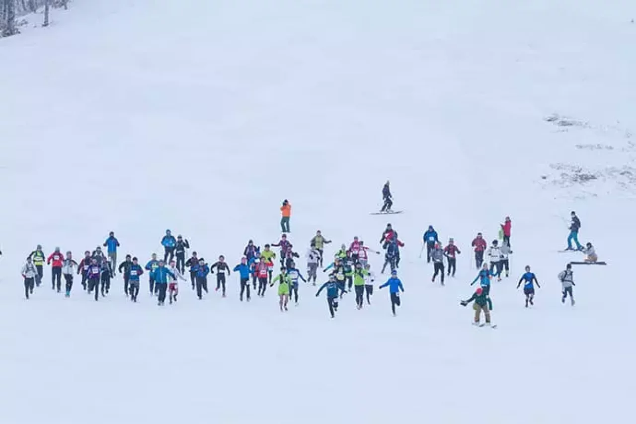 Snow Vertical Down2017