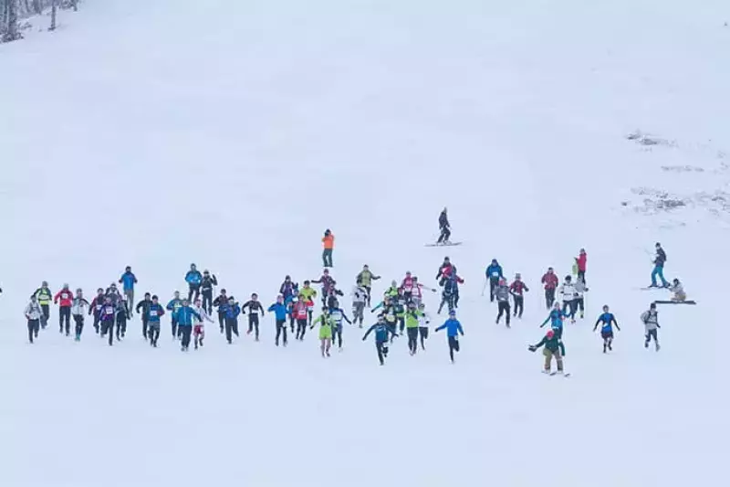 Snow Vertical Down2017