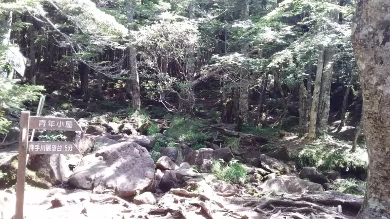 登山 編笠山 登山道