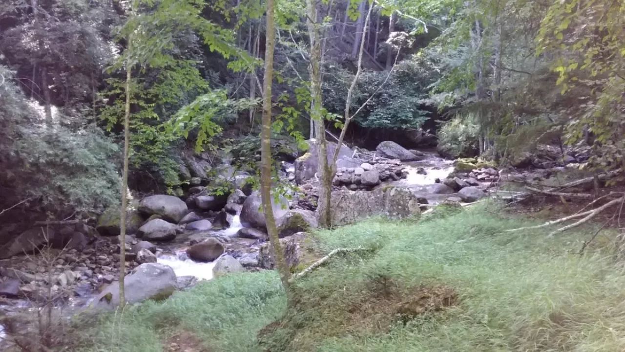 甲武信ヶ岳 登山 登山道