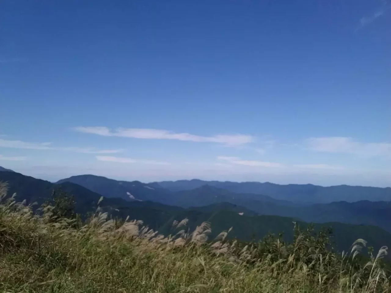 棒ノ折山 登山 眺望