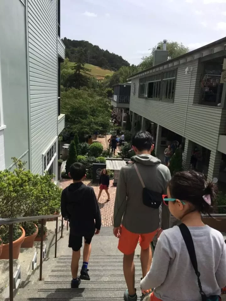 マタカナでランチ