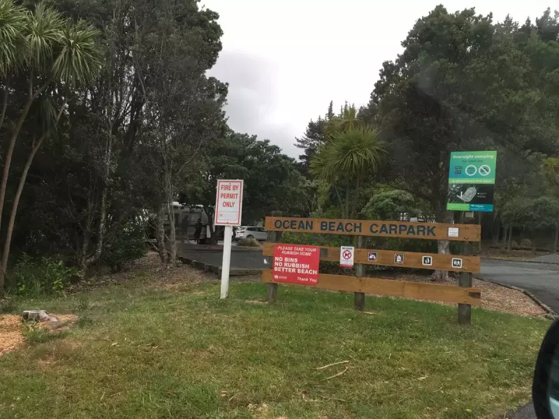 ファンガレイヘッズ