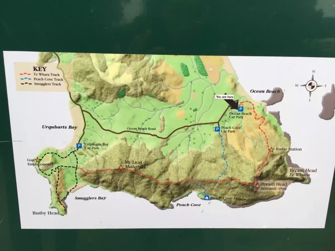 ファンガレイヘッズで楽しむ低山登山