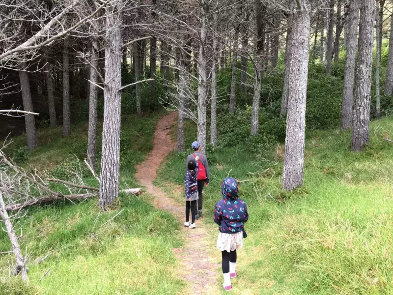 ファンガレイヘッズ