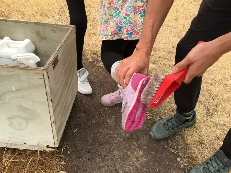 ファンガレイヘッズ