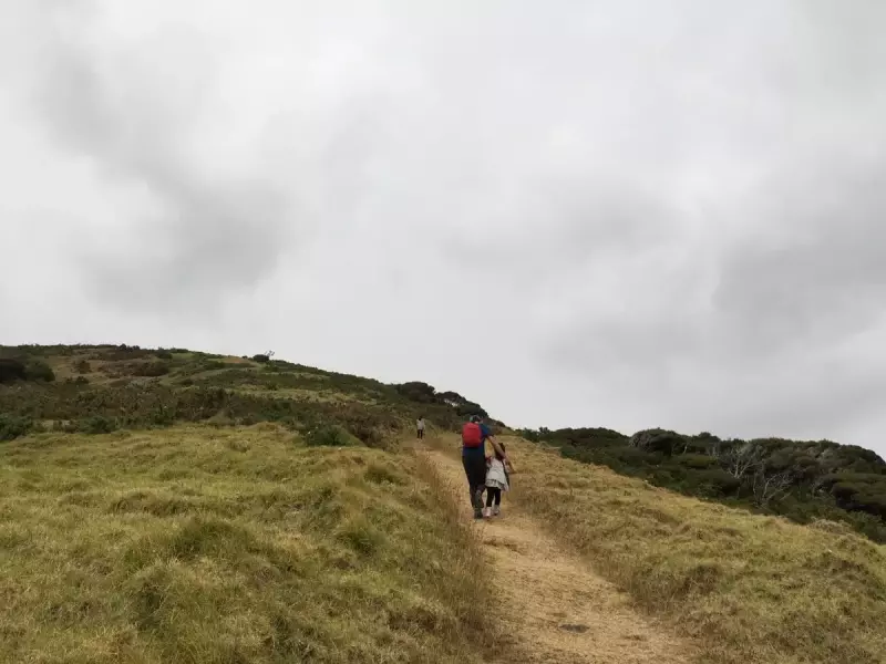 ファンガレイヘッズ