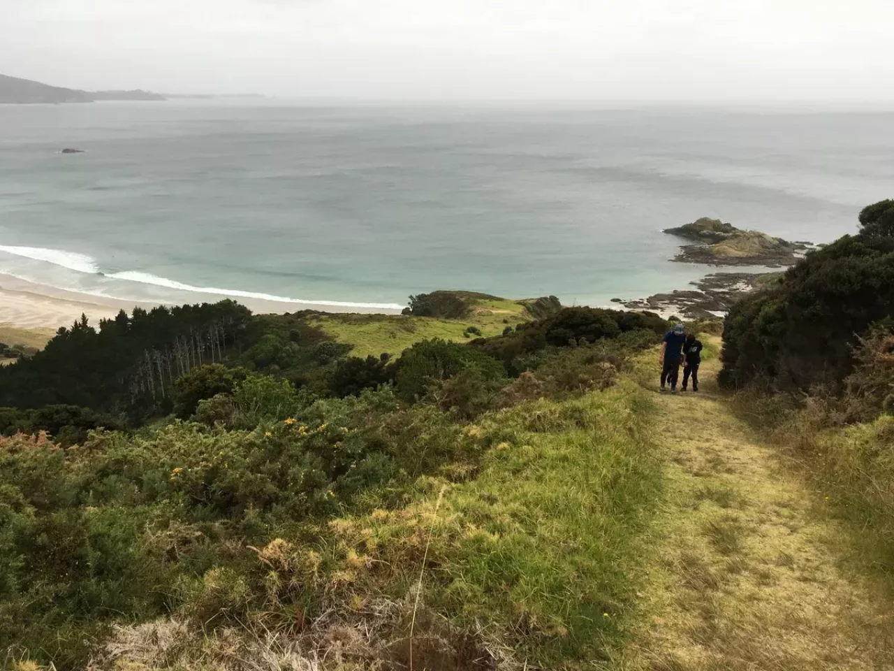 ニュージーランドを歩く