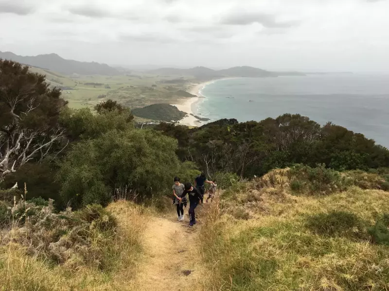 ファンガレイヘッズ