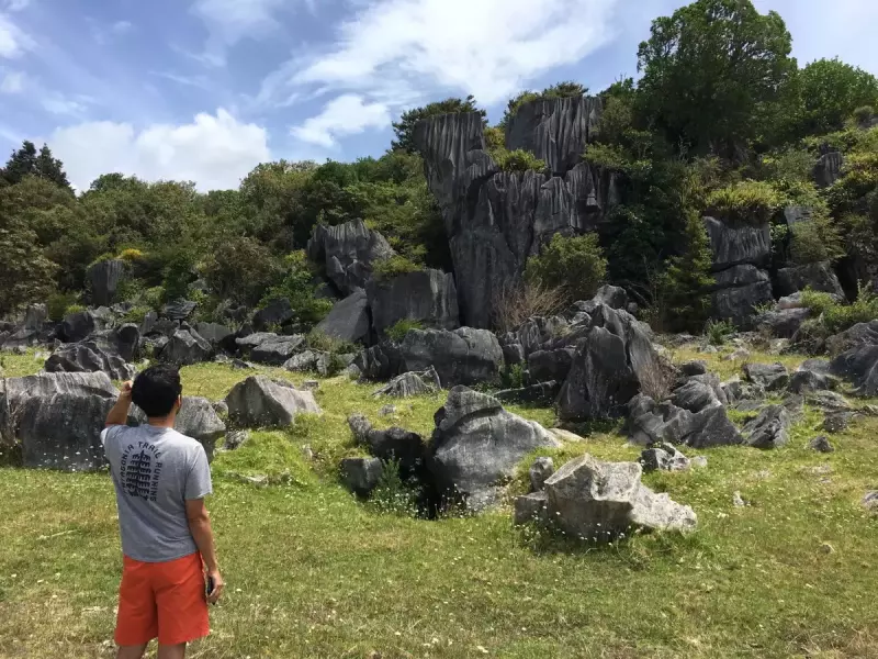 家族でニュージーランドにでかけて思うこと
