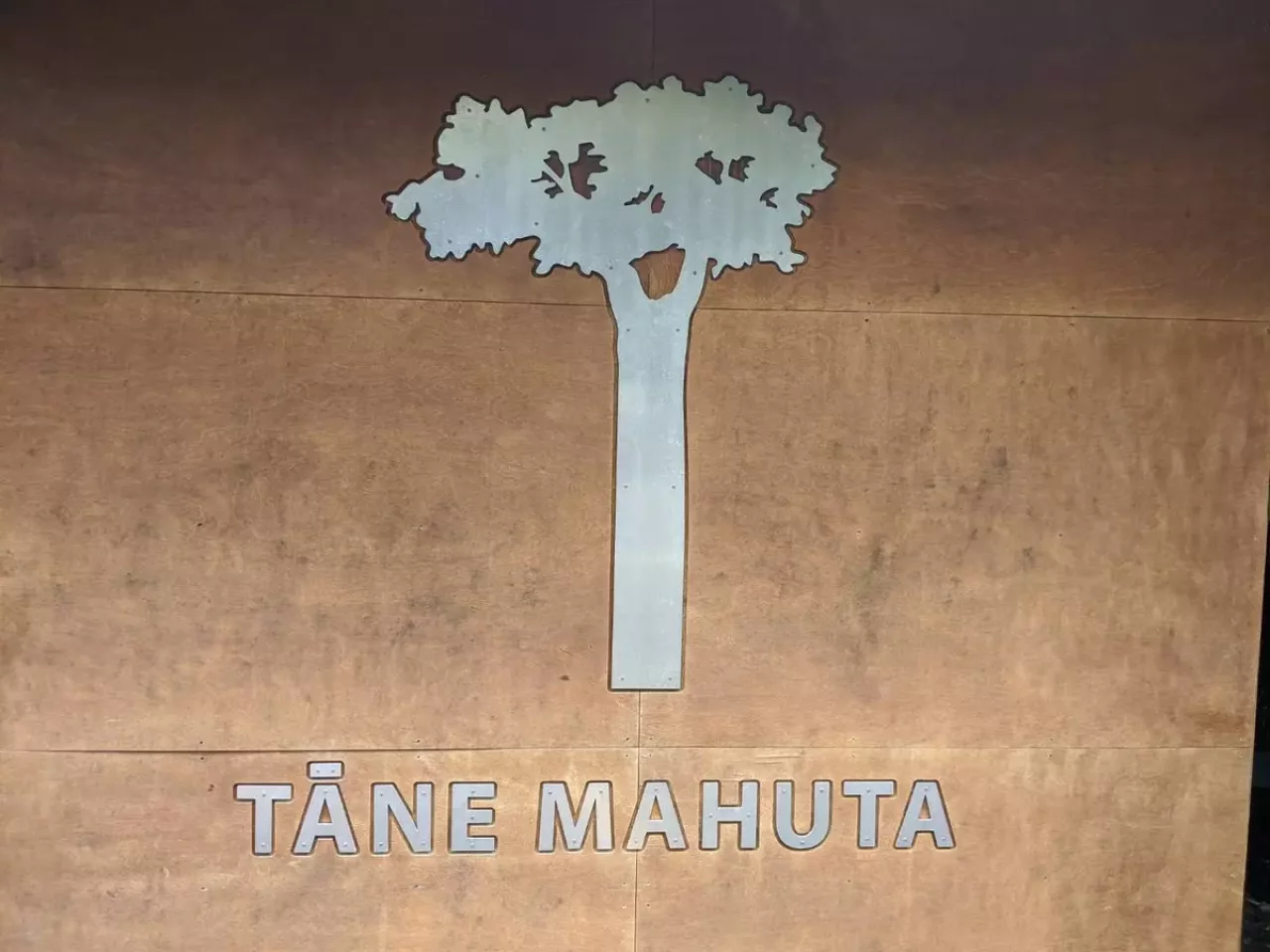 ワイポウア森林保護区