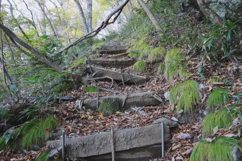 平家平までの登山道