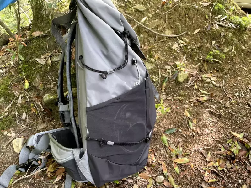 パタゴニア バックパック アルトヴィア・パック サイドポケット