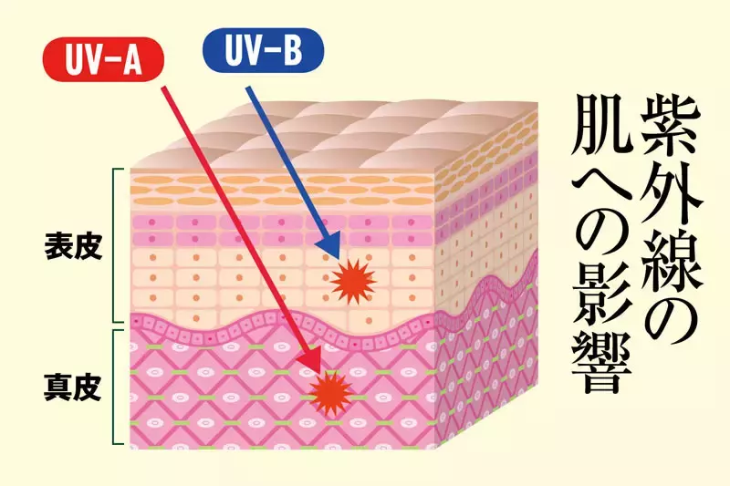 まずは紫外線について学ぶことが大事