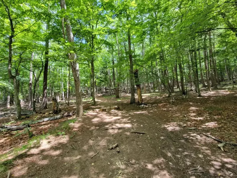 瑞牆山への登山、アブに閉口するも美しい景色に見惚れる