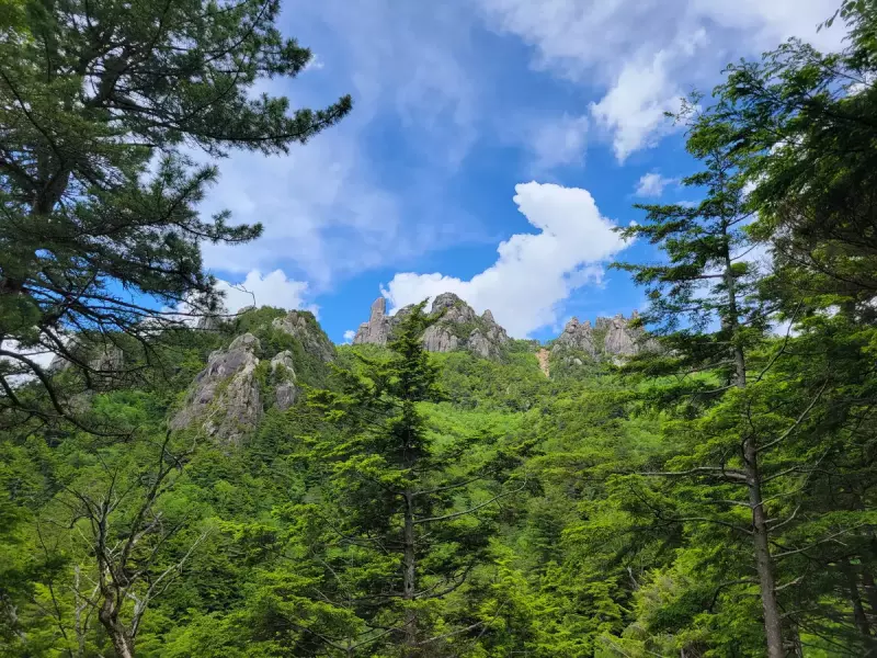 瑞牆山への登山、アブに閉口するも美しい景色に見惚れる