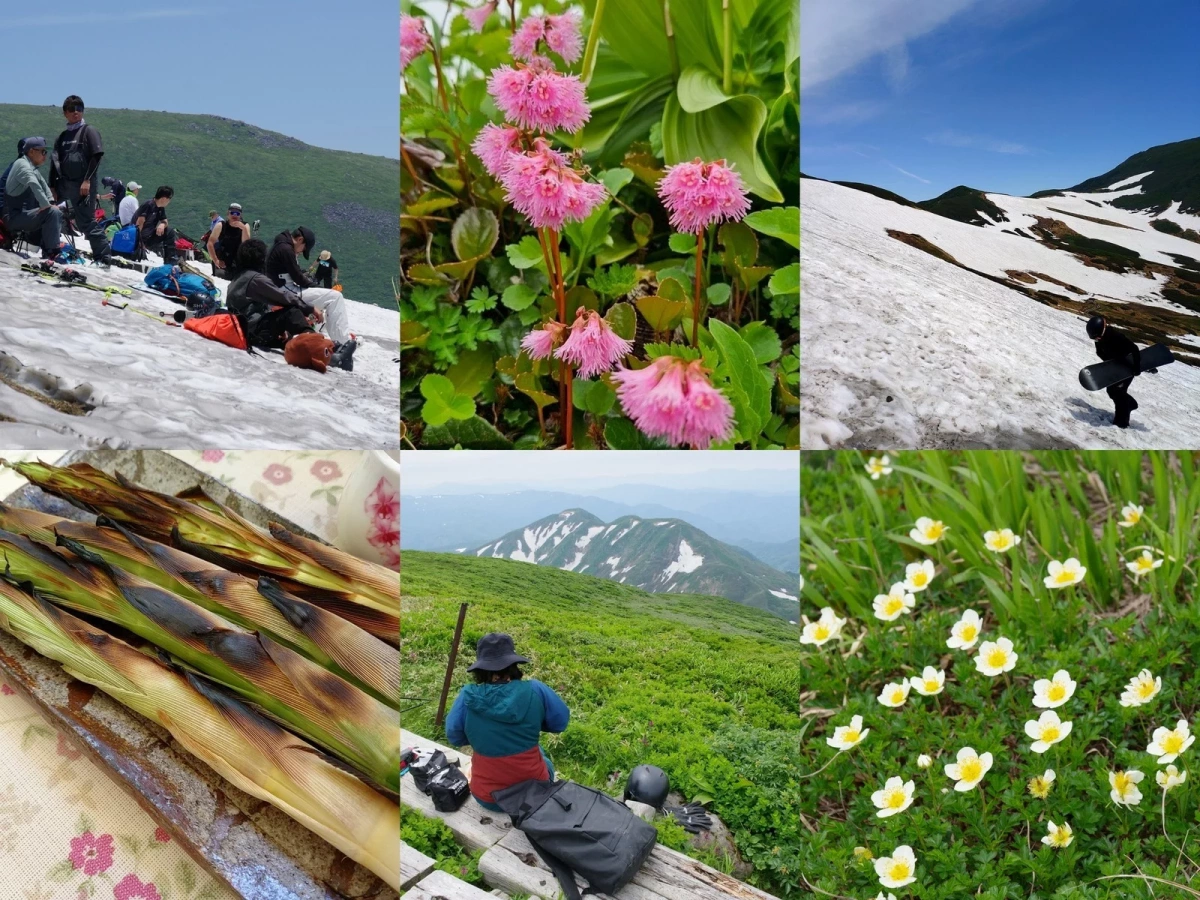 初夏の月山:ハイク&ライドと、天空のお花畑を巡る2日間。