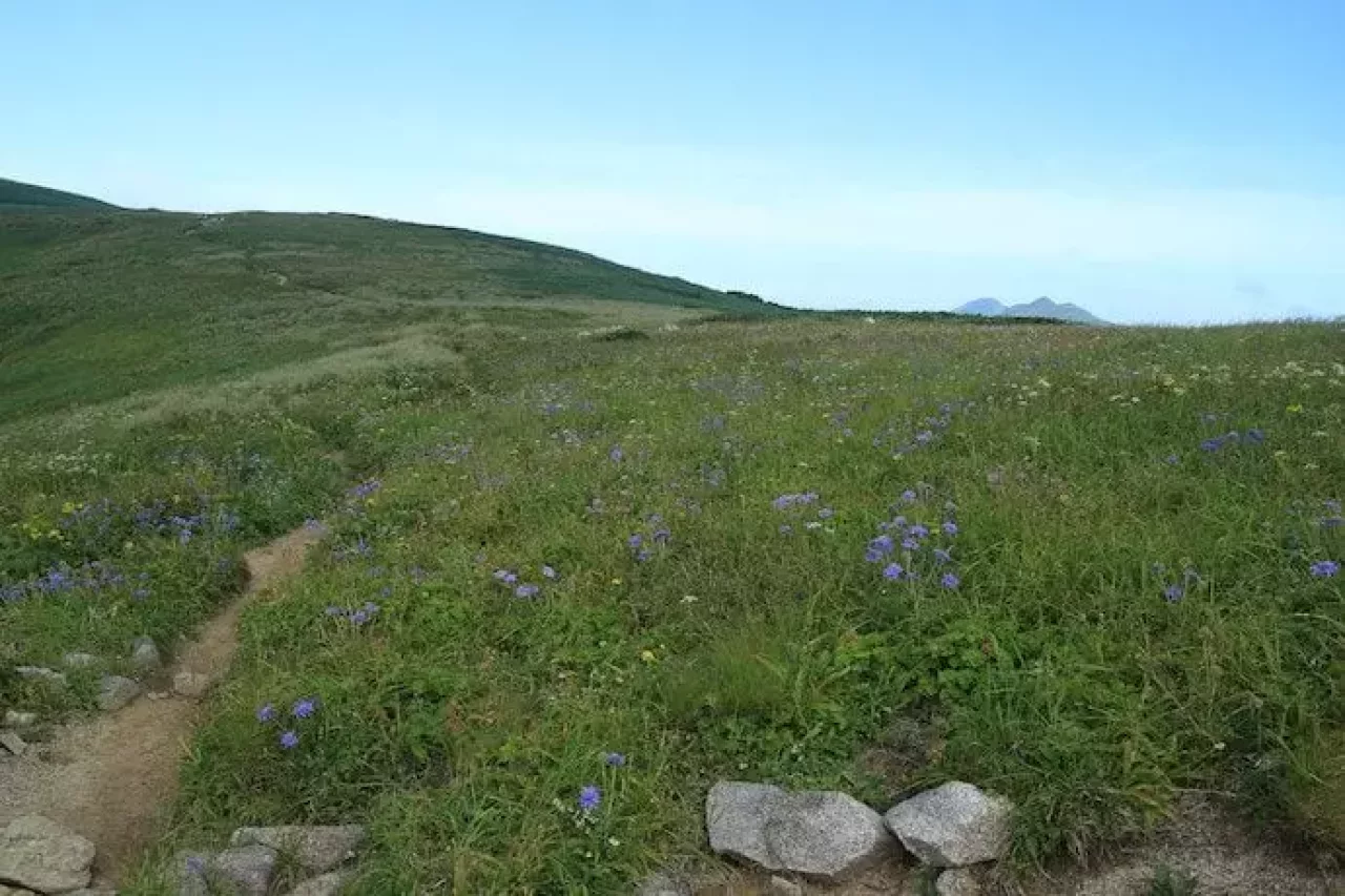 スカイランニングで景色を楽しむ