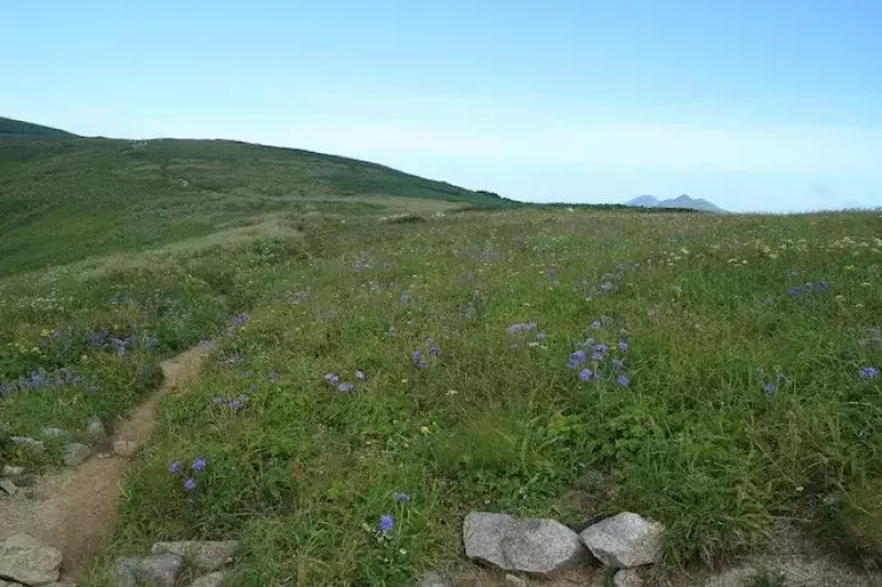 スカイランニングで景色を楽しむ