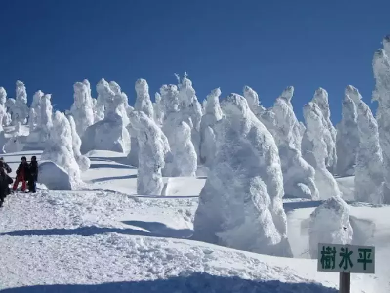 阿仁ゴンドラで行く 森吉山の樹氷鑑賞