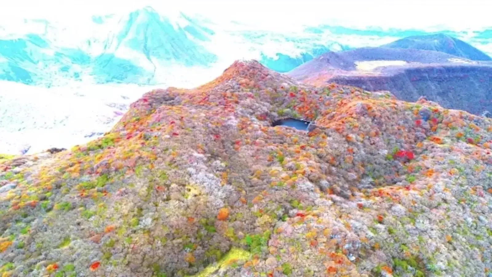 九重で人気沸騰!大船山の豊かな色彩を楽しむ登山ルートを難易度別に紹介