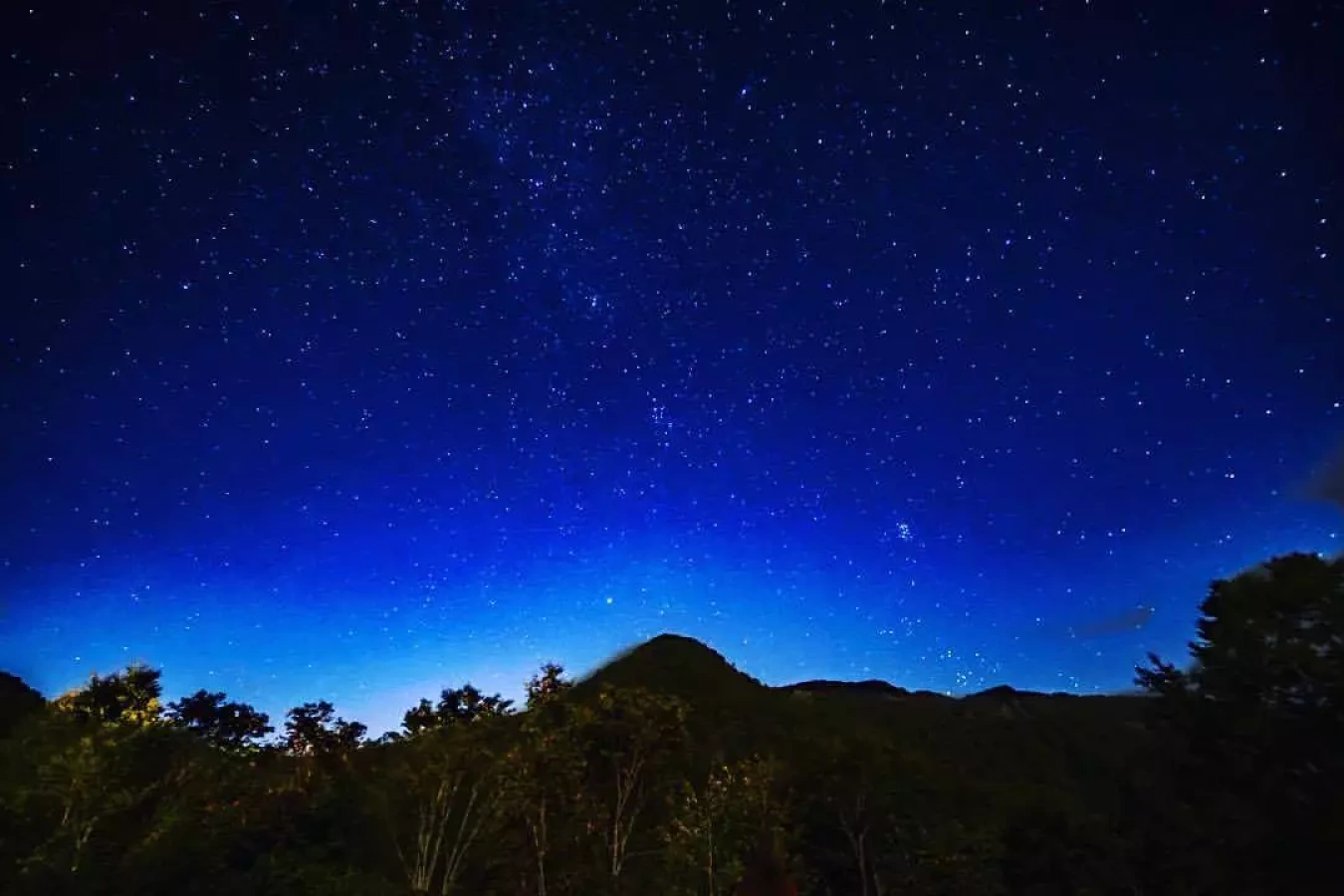 国立公園内 自然を満喫できる雨飾高原キャンプ場