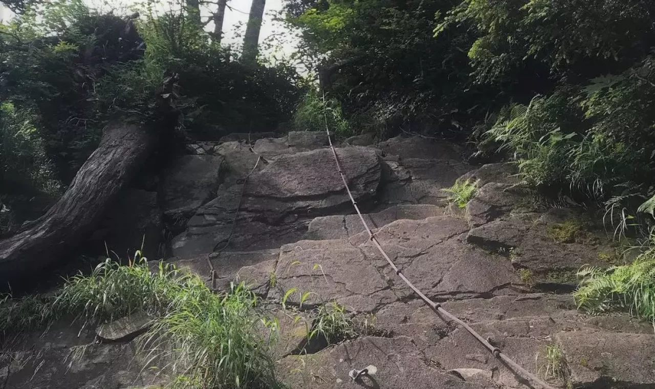 オールシーズン楽しめる登山コース