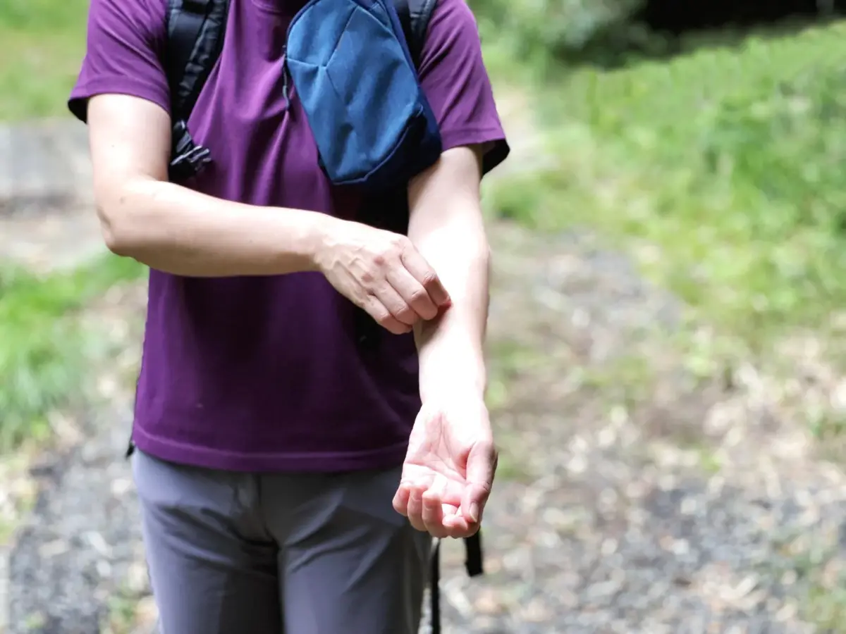 【2026年】登山の虫除け対策完全ガイド|ブヨ・アブ・マダニから身を守る対策グッズ10選