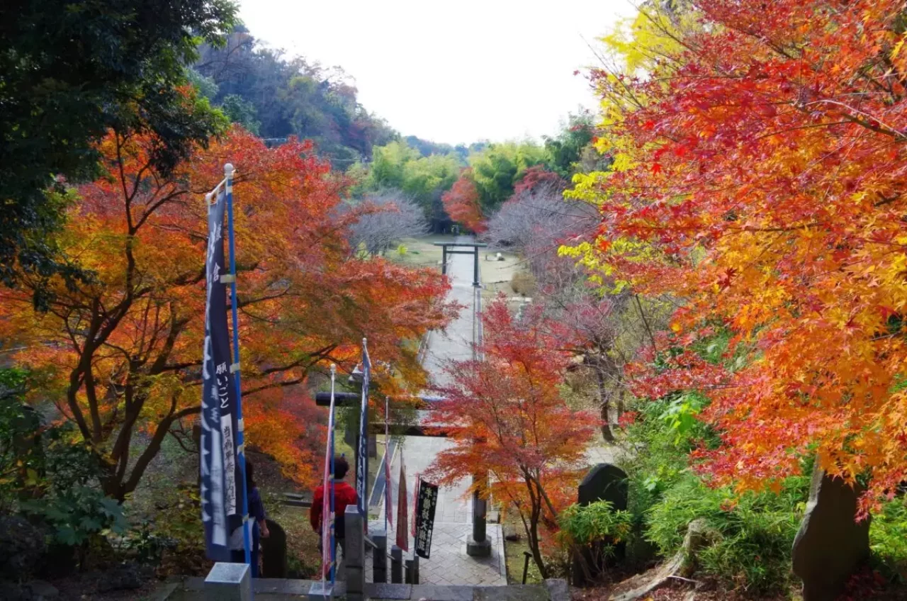 大平山 登山 建長寺