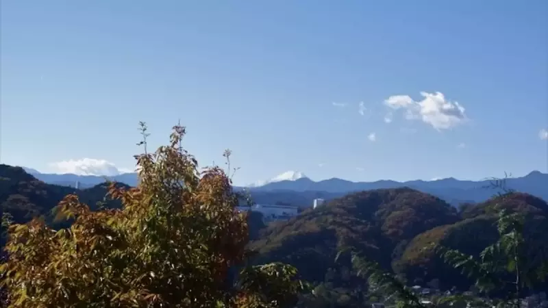 飯能アルプス 登山 多峯主山山頂