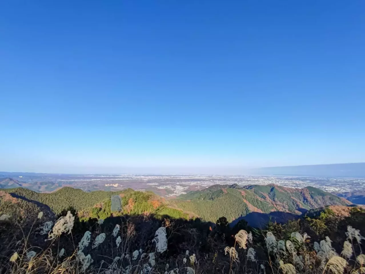 低山 関東 おすすめ 登山 山頂